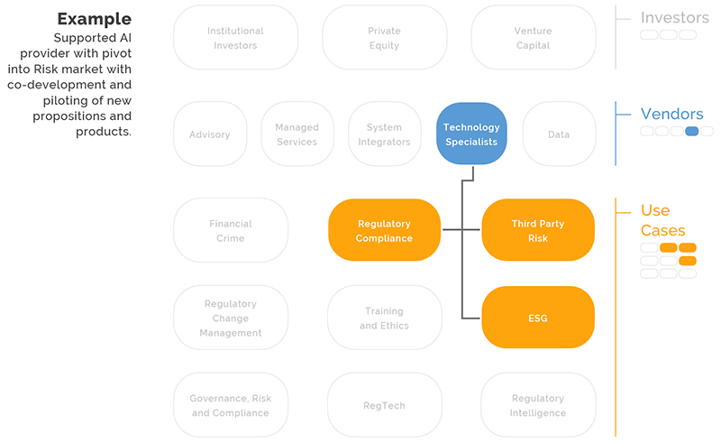 Example scope diagram for supporting
                an AI provider to pivot into risk market